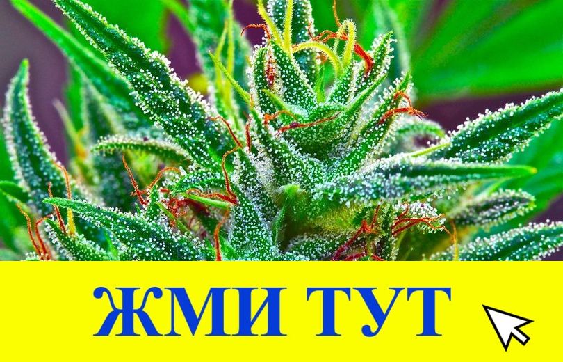 Купить наркотики в Николаевске-на-Амуре